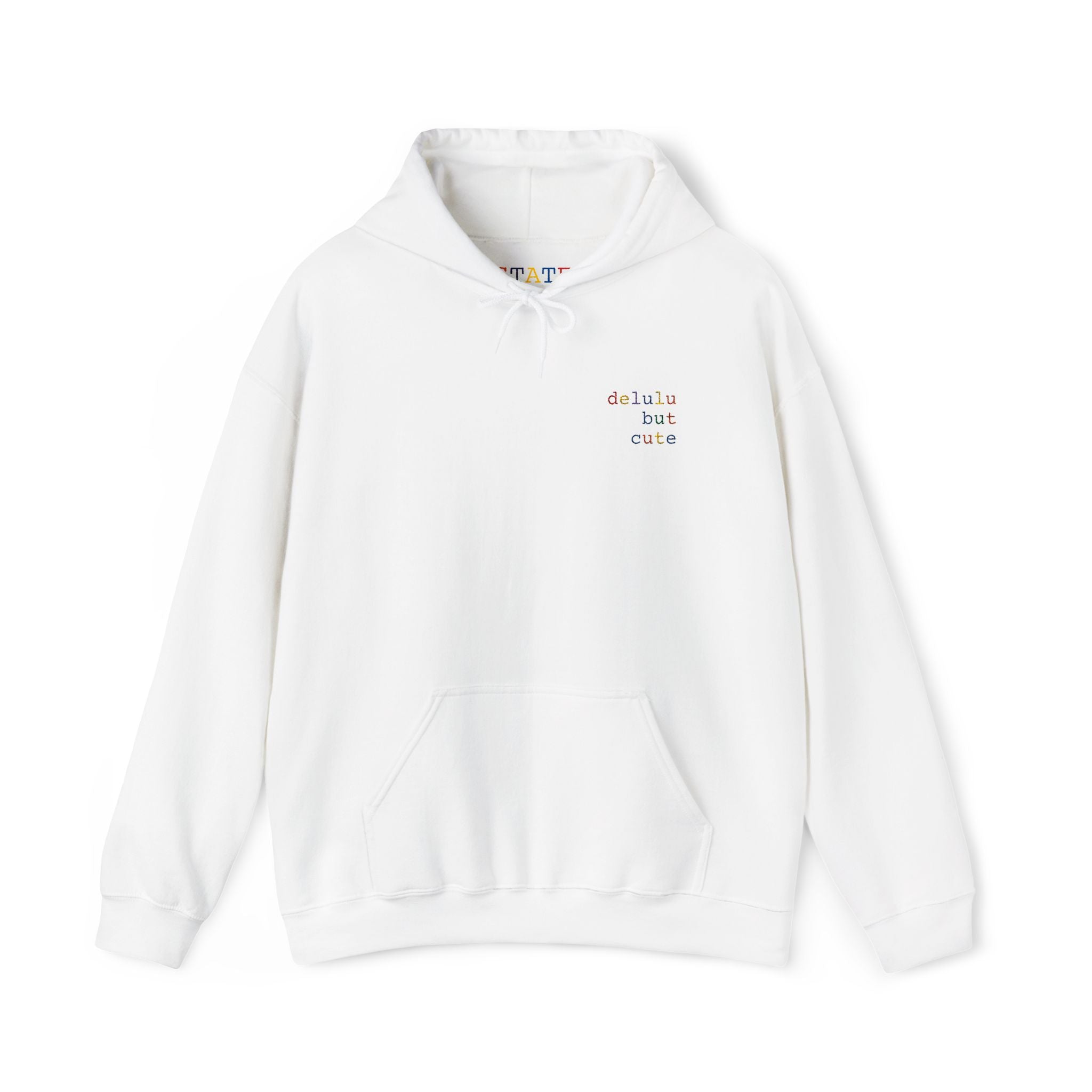 delulu but cute | hoodie